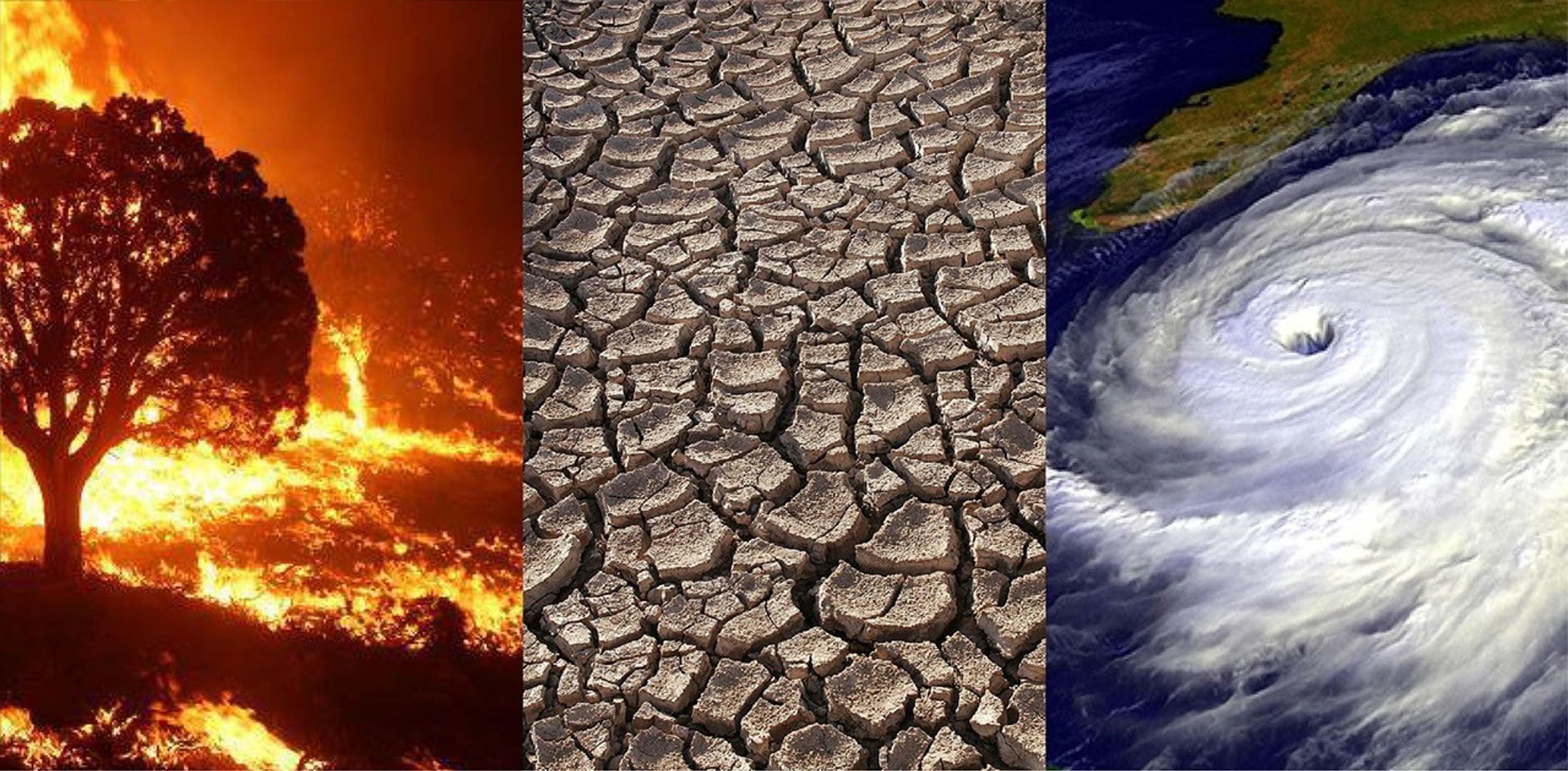 Climate change extremes